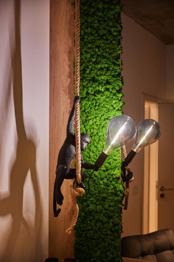 Quiboo Cosmopolit Apartment Brasov Luaran gambar